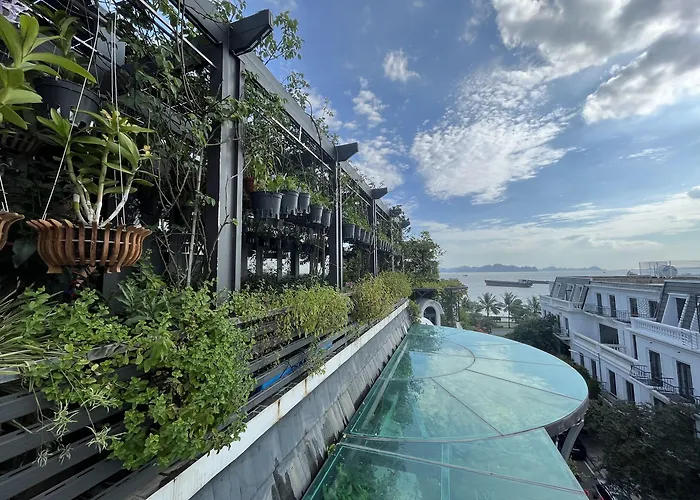 Paris Of Dragon Bay 3*